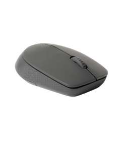 Rapoo M100 Silent Wireless Mouse