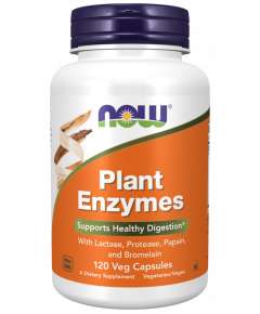 Now Plant Enzymes 120Veg Capsules Supplement