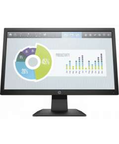 HP P204v 19.5-inch Monitor