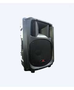 Explorer EXP 15P Passive Speaker