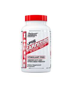 Nutrex Basix Lipo6 Carnitine Stimulant Free 60Capsules Supplement