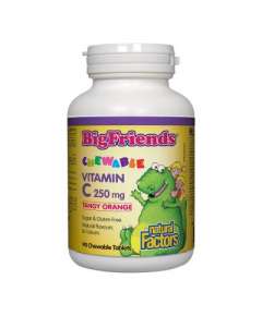 Natural Factors Big Friends Vitamin C 250mg 90 Chewable Tablets