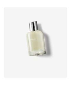 Burberry Weekend Edt 100ml Men Perfume