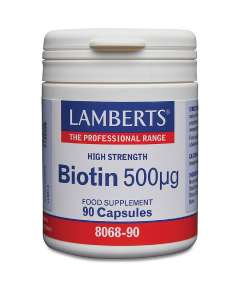 Lamberts Biotin 500µg 90 Capsules Supplement