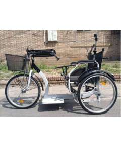 Sunpower Manual Tricycle