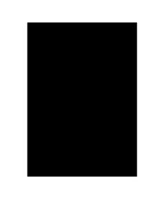 Visico 1.35 X10M Black Paper Backgound