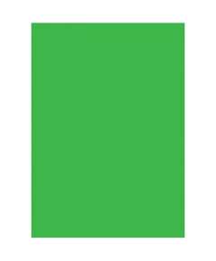 Visico 1.35 X10M Green Paper Backgound