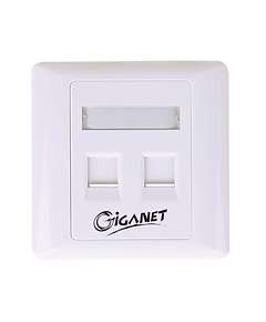 Giganet Double faceplate