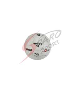 Sparo Local No. 9000  Volleyball