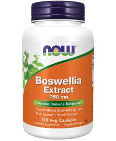 Now 250mg Boswellia Extract 120Capsules Supplement