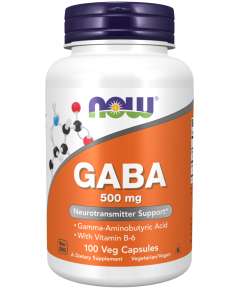 Now 500mg GABA 100Capsules Supplement