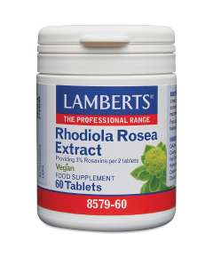 Lamberts Rhodiola Rosea Extract 60 Tablets Supplement