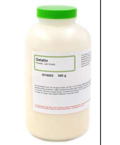 Griffchem 500G Gelatin Lab Reagent