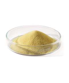 Griffchem 500G Yeast Extract Powder Lab Reagent
