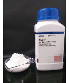Griffchem 100G Trypsin Lab Reagent