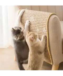 Catco  60*90cm Cat Scratcher Mat