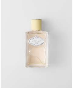 Padra Infusion Gingembre 100ml Edp Perfume