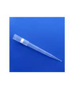 Pipette Tip For Eppendorf 1000UL
