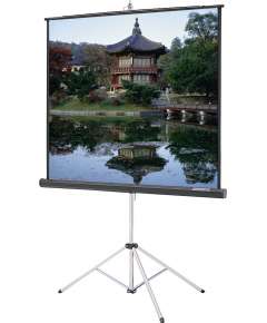 Generic 240 cm X 240 cmTripod Portable Projector Screen