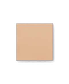 Mary Kay Endless Performance Creme-to-Powder Foundation