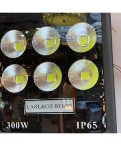 Carl and Gilberts 300 Watts LED Floodlights
