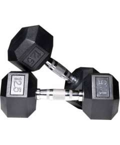 Hex 2 x 12.5 KG Dumbbell
