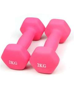 YDYBB 2 Kg Pink Rubber Dumbbell
