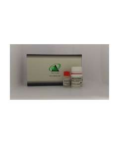 Biotec Cholestrol 5*30 ml