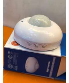 Carl and Gilberts  Motion Sensor