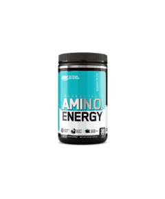 ON 270g Essential Amino Energy- Blueberry Mojito