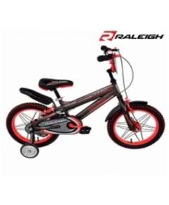 Raleigh  Roost 16" Bmx Bicycle