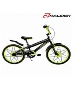 Raleigh Roost 20" Bicycle