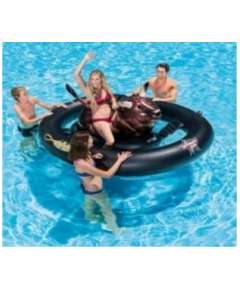 Intex Inflatabull Float