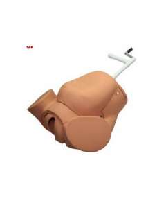 Advanced Childbirth Simulator Model