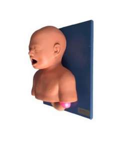 Infant Tracheal Intubation Model
