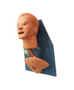 Intubation Model