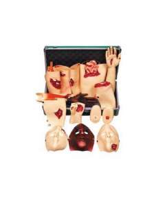 Trauma Simulator Model