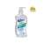 Velvex 500ml 6Pack Gel Pump Hand Sanitizer, Product Capacity: 500ml, Sterilizer Scents: Fragrance Free