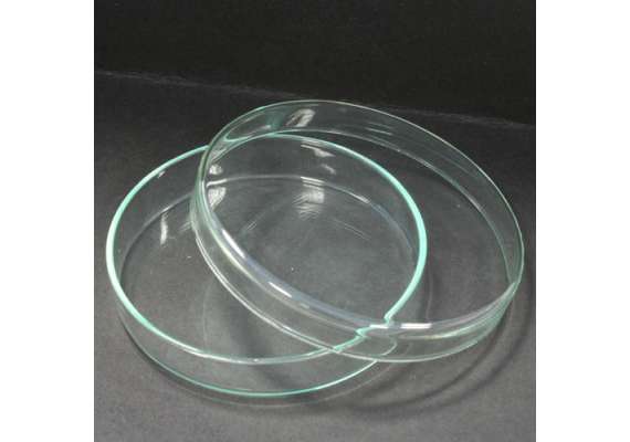 Generic 90mm 10Piece Glass Petri Dishes