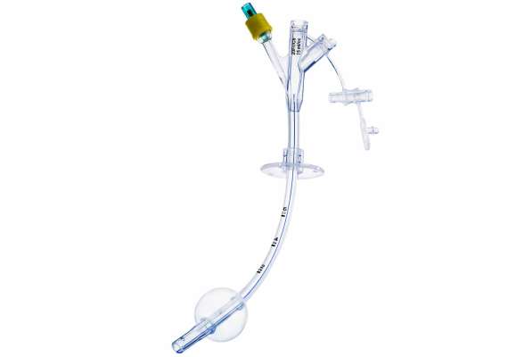 Gastrostomy Feeding Tube, Tube Size: 12