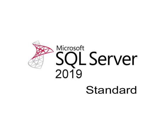 Microsoft SQL Server standard 2019