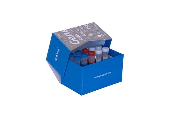 GeneProof Human Papillomavirus(HPV) 100Test Screening Kit