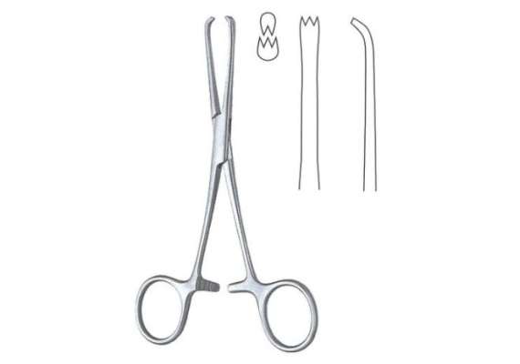 Chaput Tissue Forceps