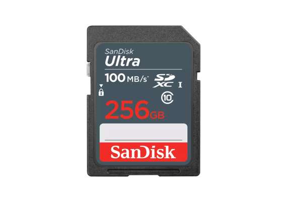 SanDisk Ultra  SDHC and SDXC 256GB Memory Card for Camera