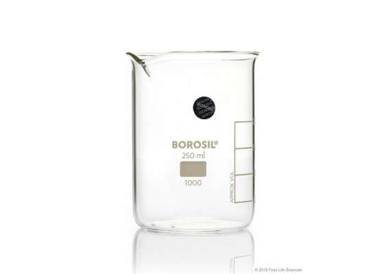 Borosil 250ml Glass Beaker