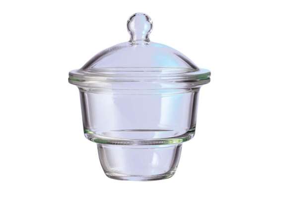 Generic 6inch Dessicator with Knob
