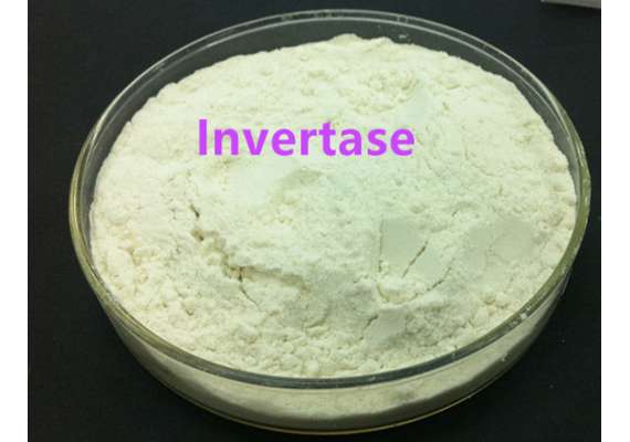 Griffchem 100g Invertase Lab Reagent