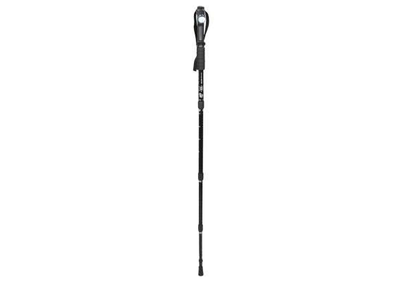 Hiking Pole