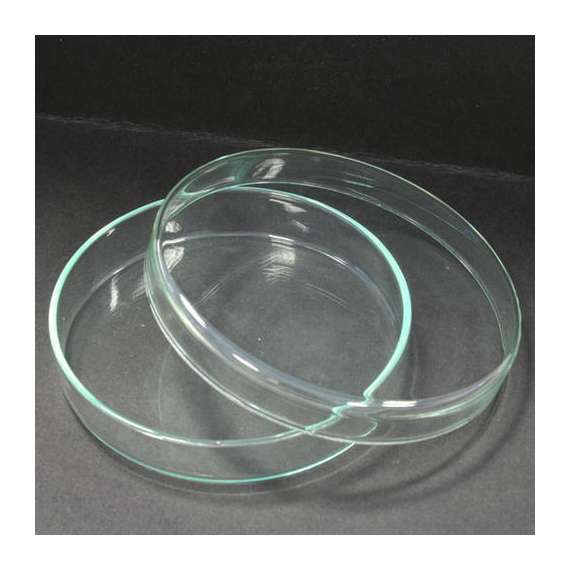 Generic 90mm 10Piece Glass Petri Dishes