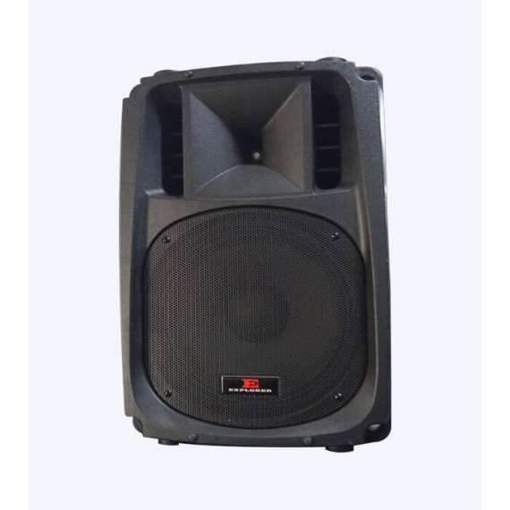 Explorer EXP 12 Passive Speaker
